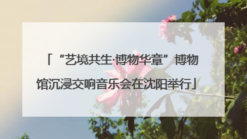 “艺境共生·博物华章”博物馆沉浸交响音乐会在沈阳举行