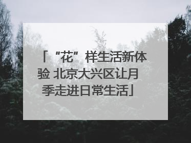 “花”样生活新体验 北京大兴区让月季走进日常生活
