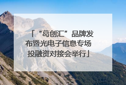 “葛创汇”品牌发布暨光电子信息专场投融资对接会举行