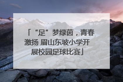 “足”梦绿茵，青春激扬 眉山东坡小学开展校园足球比赛