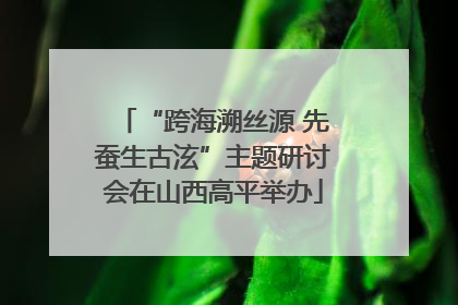 “跨海溯丝源 先蚕生古泫”主题研讨会在山西高平举办