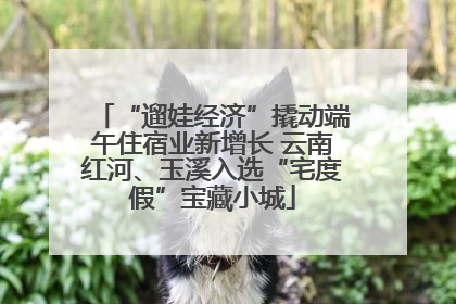 “遛娃经济”撬动端午住宿业新增长 云南红河、玉溪入选“宅度假”宝藏小城