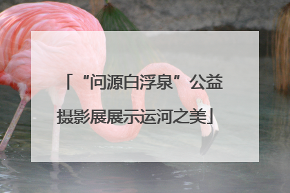 “问源白浮泉”公益摄影展展示运河之美