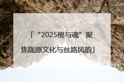 “2025根与魂”聚焦陇原文化与丝路风韵