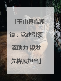 玉山县临湖镇：党建引领添助力 银发先锋展担当