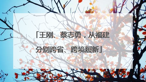 王刚、蔡志勇，从福建分别跨省、跨境履新