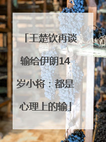 王楚钦再谈输给伊朗14岁小将：都是心理上的输