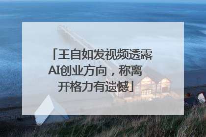 王自如发视频透露AI创业方向，称离开格力有遗憾