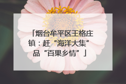烟台牟平区王格庄镇：赶“海洋大集” 品“百果乡情”