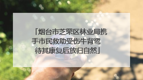 烟台市芝罘区林业局携手市民救助受伤牛背鹭 待其康复后放归自然