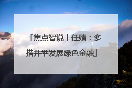 焦点智说丨任婧：多措并举发展绿色金融