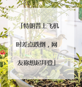 特朗普上飞机时差点跌倒，网友称想起拜登