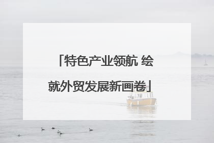 特色产业领航 绘就外贸发展新画卷