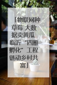 物联网种草莓 大数据卖黄瓜 临沂“四雁孵化”工程链动乡村共富