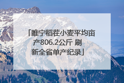 睢宁稻茬小麦平均亩产806.2公斤 刷新全省单产纪录