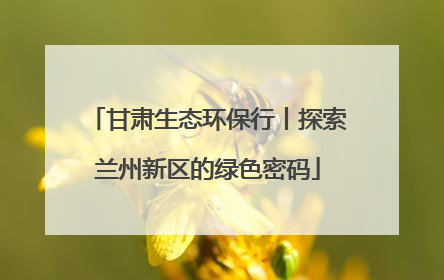 甘肃生态环保行丨探索兰州新区的绿色密码