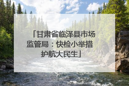 甘肃省临泽县市场监管局：快检小举措 护航大民生