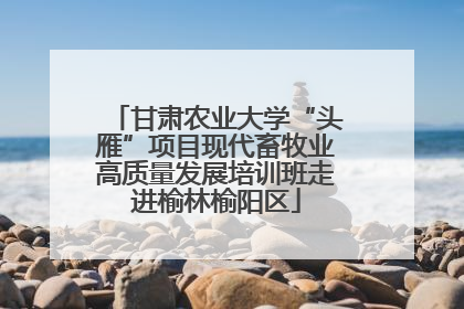 甘肃农业大学“头雁”项目现代畜牧业高质量发展培训班走进榆林榆阳区