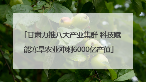 甘肃力推八大产业集群 科技赋能寒旱农业冲刺6000亿产值
