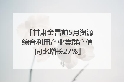 甘肃金昌前5月资源综合利用产业集群产值同比增长27%