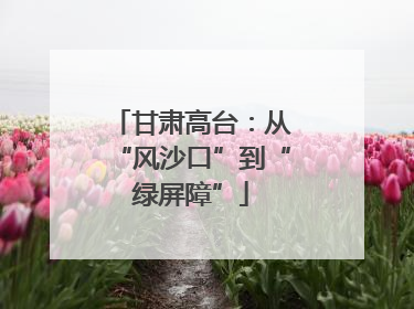 甘肃高台：从“风沙口”到“绿屏障”