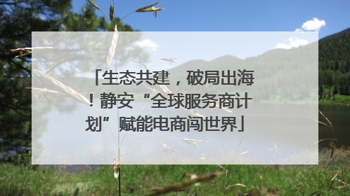 生态共建，破局出海！静安“全球服务商计划”赋能电商闯世界