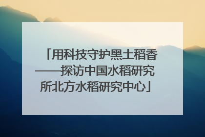 用科技守护黑土稻香——探访中国水稻研究所北方水稻研究中心