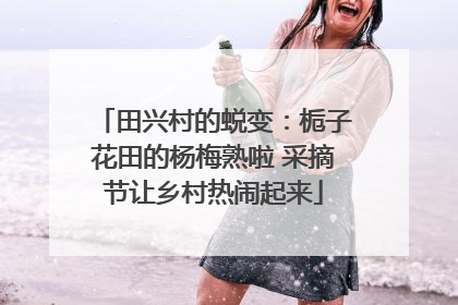 田兴村的蜕变：栀子花田的杨梅熟啦 采摘节让乡村热闹起来