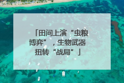 田间上演“虫粮博弈”，生物武器扭转“战局”