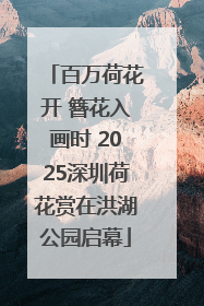 百万荷花开 簪花入画时 2025深圳荷花赏在洪湖公园启幕