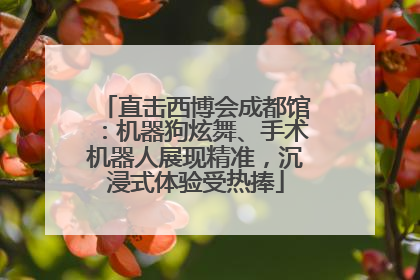 直击西博会成都馆：机器狗炫舞、手术机器人展现精准，沉浸式体验受热捧