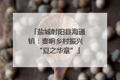 盐城射阳县海通镇：奏响乡村振兴“夏之华章”
