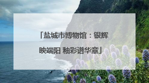 盐城市博物馆：银辉映端阳 釉彩谱华章