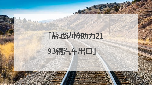 盐城边检助力2193辆汽车出口