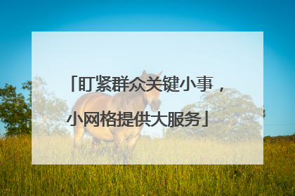 盯紧群众关键小事，小网格提供大服务
