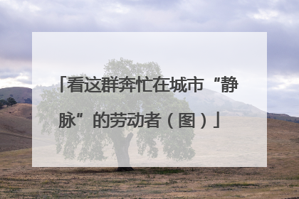 看这群奔忙在城市“静脉”的劳动者（图）