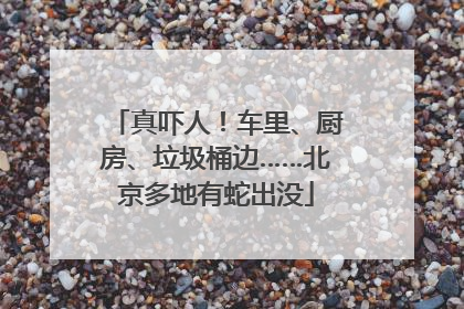 真吓人！车里、厨房、垃圾桶边……北京多地有蛇出没