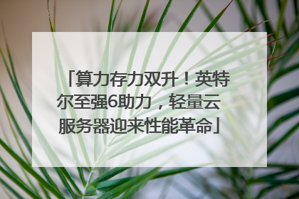 算力存力双升！英特尔至强6助力，轻量云服务器迎来性能革命