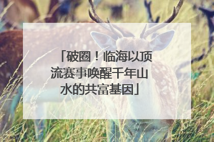 破圈！临海以顶流赛事唤醒千年山水的共富基因