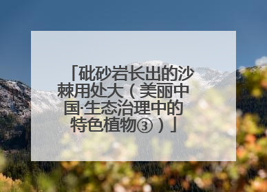 砒砂岩长出的沙棘用处大（美丽中国·生态治理中的特色植物③）