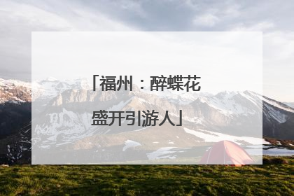 福州：醉蝶花盛开引游人