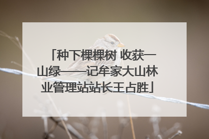 种下棵棵树 收获一山绿——记牟家大山林业管理站站长王占胜