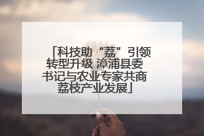 科技助“荔”引领转型升级 漳浦县委书记与农业专家共商荔枝产业发展