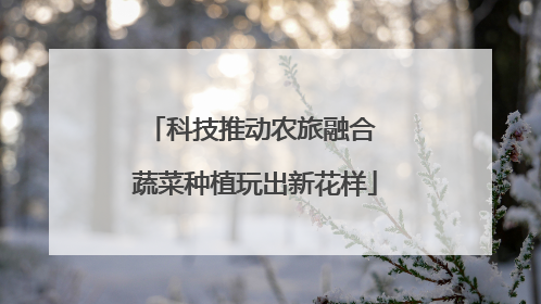 科技推动农旅融合 蔬菜种植玩出新花样