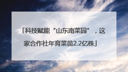 科技赋能“山东南菜园”，这家合作社年育菜苗2.2亿株