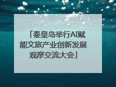 秦皇岛举行AI赋能文旅产业创新发展观摩交流大会