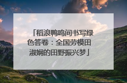 稻浪鸭鸣间书写绿色答卷：全国劳模田淑娴的田野振兴梦