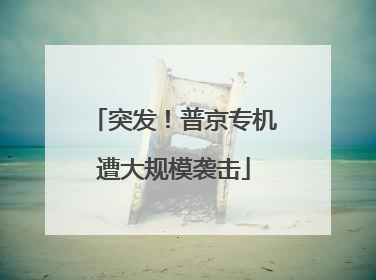 突发！普京专机遭大规模袭击