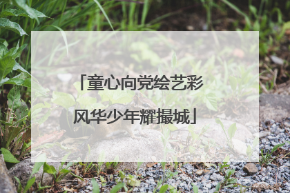 童心向党绘艺彩 风华少年耀撮城
