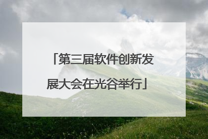第三届软件创新发展大会在光谷举行